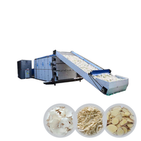Machine de séchage légumes/oignon/gingembre/ail, avec circulation d'air chaud