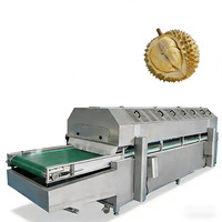 Machine de congélation rapide à l'azote liquide pour durian et fruits de mer, équipement de congélation, livraison directe d'usine