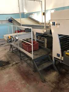 Sermac 4 lignes pour agrumes en espagne meilleure vente ligne de classement de fruits d'occasion haut de gamme trieuse automatique précise de niveleuse de fruits - Product Image 6