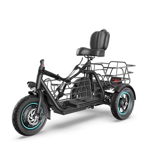 Tricycles électriques très demandés pour adultes – Vélo électrique avec capacités de transport de marchandises et de passagers pour les trajets urbains – C-Best Gyroor Iron Ebi - Product Image 6