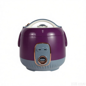 Appareils électroménagers haut de gamme, cuiseur <span class=keywords><strong>à</strong></span> riz portable de luxe avec poignée, coque en <span class=keywords><strong>plastique</strong></span> anti-brûlure, double <span class=keywords><strong>couvercle</strong></span> intérieur - Product Image 5
