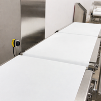 Détecteur de métaux alimentaire électrique intelligent haute sensibilité, indice IP65, construction en acier inoxydable 304 pour lignes de convoyage, facile à utiliser