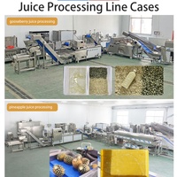 0,5-5T/H RVS 304 energiebesparende fruitpersmachine motor voor de productie van mango-, limoen-, appel- en ananassap