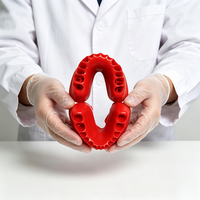 Modelo de Arco Dental en Forma de U de Doble Capa Desmontable para Enseñanza Dental