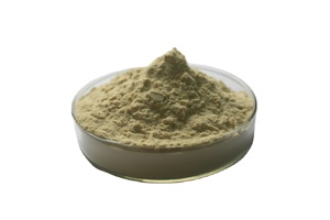 ผงสารสกัดจาก Tongkat Ali, <span class=keywords><strong>longjack</strong></span> Tongkat Ali <span class=keywords><strong>Powder</strong></span> - Tongkat Ali <span class=keywords><strong>Powder</strong></span> - Tongkat Ali สำหรับผู้ชายและผู้หญิงปราศจากกลูเตน - Product Image 3