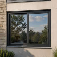 Fenêtres coulissantes horizontales en aluminium à double vitrage trempé, modernes, pour extérieur commercial, avec moustiquaire en acier inoxydable