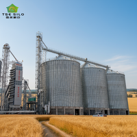 Silo à grain à fond plat en acier galvanisé à chaud compatible avec l'IoT pour le stockage du riz
