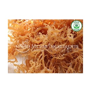 Poudre de mousse d'Irlande pure, mousse marine naturelle, superaliment riche en minéraux pour le soutien immunitaire, la santé digestive, l'hydratation de la peau, l'énergie - Product Image 2