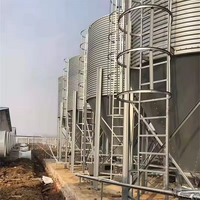Silo automatique en acier galvanisé, état neuf, système d'équipement avicole, entrepôt de stockage de céréales et de maïs pour élevages, avec moteur