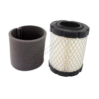 Filtre à air Remplace les numéros OEM B & S 5429K 591583 796032 591383 796032 798911