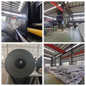 HDPE geomembrane 0.8mm chống thấm hóa chất lót chống thấm cho nông nghiệp ao hồ chứa cá trang trại bãi rác đường hầm đập - Product Image 6