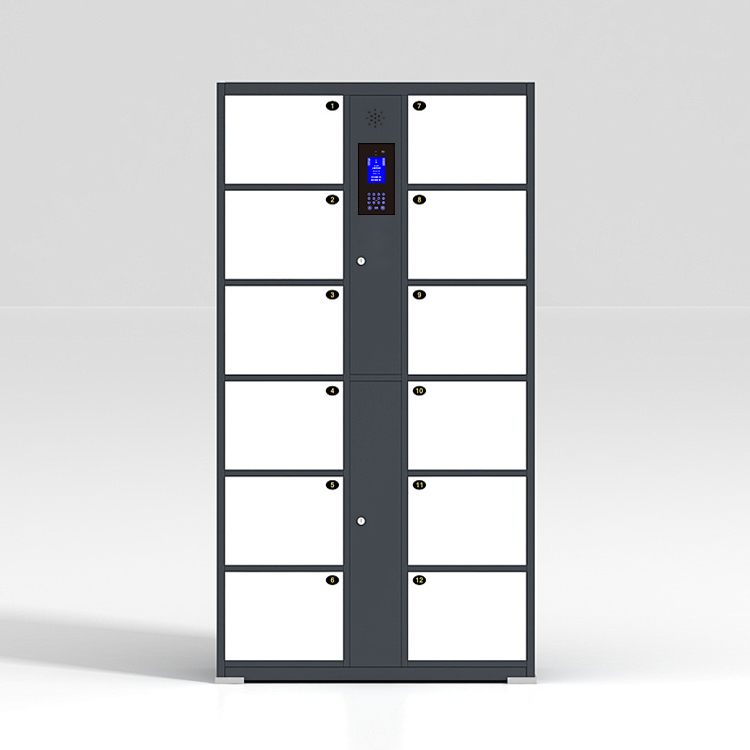 Shared Locker Leveraging IoT Technology and Multilingual Translation
