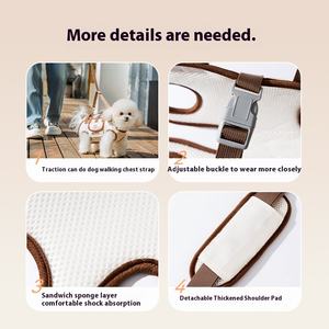 กระเป๋าสุนัขแมวแบบพกพาระบายอากาศได้ดีอเนกประสงค์สำหรับกลางแจ้งทันสมัยมีสายจูงสัตว์เลี้ยงสวมใส่สบาย - Product Image 4