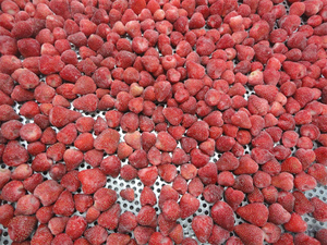 จำหน่ายส่ง<span class=keywords><strong>สต</strong></span>รอว์เบอร์รีแช่แข็ง IQF ฤดูกาลใหม่ ได้รับมาตรฐาน BRC HACCP - Product Image 3