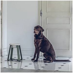 High Quality Durable Ceramic <b>Raised</b> Elevated Feeder Stand for <b>Dogs</b> and Cats Innovative Pet Product with Accessory Food <b>Bowl</b> - Product Image 1