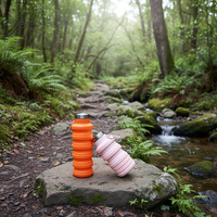 Bouteille d'eau pliable en silicone réutilisable, anti-fuite, avec logo personnalisé, 500 ml, qualité alimentaire, mousqueton inclus, pour la gym, le camping et la randonnée