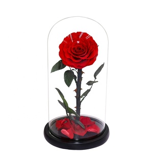 Longue tige conservée roses simples vrai durable <span class=keywords><strong>jardin</strong></span> fleurs roses dans le dôme de verre avec boîte-cadeau pour noël saint-valentin - Product Image 1