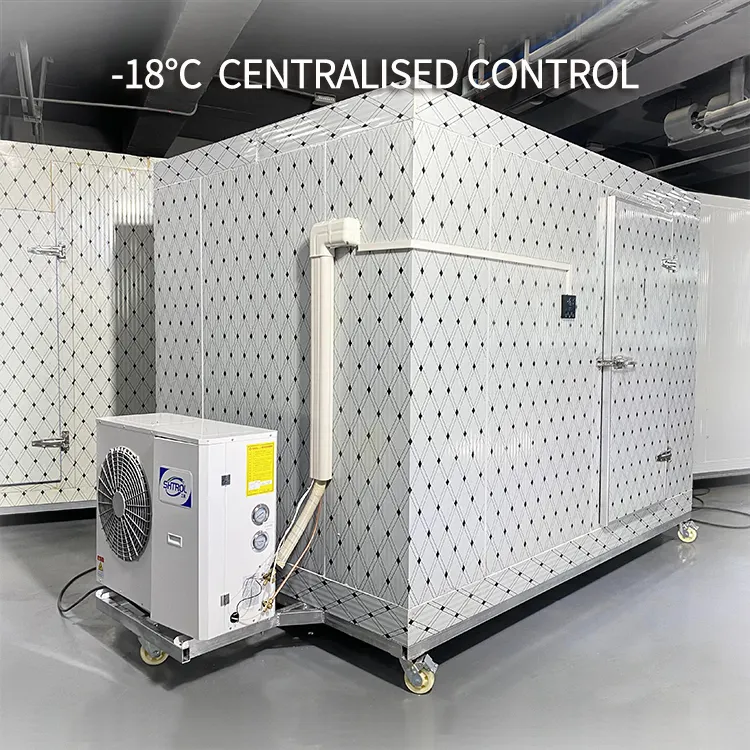 ユニットウォークイン冷蔵庫冷凍庫ポータブルミニ冷蔵室エアコン棚部屋用20フィート冷蔵庫収納コンテナ