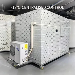  Birim buzdolabı dondurucu taşınabilir Mini soğuk oda klima rafları yürümek için odalar 20ft buzdolabı saklama kabı