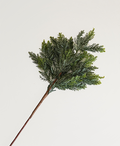 Gesimuleerde Planten Jeneverbesblad Brandwerend Zonnebrandgroen Voor Landschapsarchitectuur Brandvertragende Jeneverbesbladontwerp Tuintechniek - Product Image 6