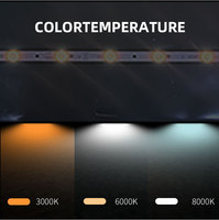 Chine Approvisionnement Ce Rohs 6000k 13000k Smart Blanc Chaud Froid 12v 24v 220v Rgb Rgbw Rgbic Flexible Cob Smd Led Bande Lumineuse