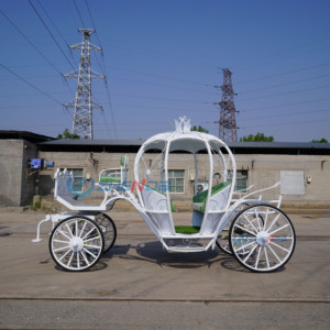 Carruaje Eléctrico Europeo Retro con Forma de Calabaza para Lugares Turísticos, Hoteles y Recepciones de Bodas, 30-50 km/h - Product Image 6