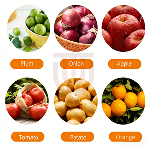 Machine de calibrage et de tri industrielle personnalisée à rouleaux pour agrumes (citron, olive, orange, avocat) et fruits à coque (noix) - Product Image 2