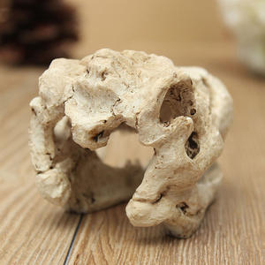 <span class=keywords><strong>Aquarium</strong></span> <span class=keywords><strong>Aquarium</strong></span> Décoration MB9-16 Résine Crâne <span class=keywords><strong>Dinosaure</strong></span> Plante Aquatique Aménagement Paysager pour 5 Décorations Boîte Verre Dégagement - Product Image 3