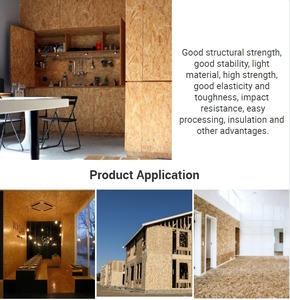 <span class=keywords><strong>Tablero</strong></span> <span class=keywords><strong>OSB</strong></span> Impermeable de 18 mm para Construcción Duradera, Superficie Acabada con Resistencia a la <span class=keywords><strong>Humedad</strong></span> y Resistencia - Product Image 5