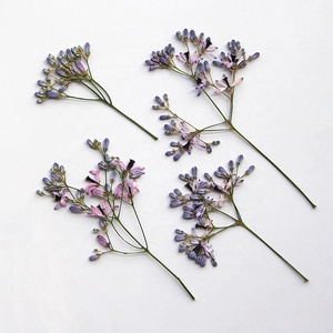 12 pezzi albero di Chinaberry <span class=keywords><strong>con</strong></span> rami di Scrapbooking resina epossidica naturale pianta vera fiore pressato fai da te - Product Image 1