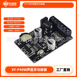 Hongwei Micro BT-P40W 30W 40W Placa Amplificadora Estéreo 12V 24V Módulo de Audio Digital de 2 Canales - Product Image 5