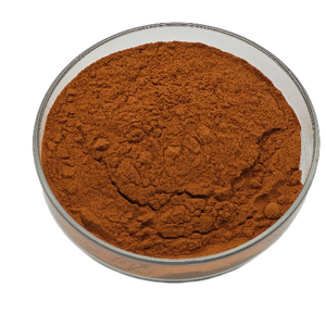 Fournisseur d'usine, complément alimentaire à base d'organes de bœuf, nourri à l'herbe, extrait pur de foie de bovin, poudre de foie de bœuf - Product Image 3