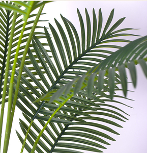 Plante artificielle <span class=keywords><strong>Dypsis</strong></span> de 250 cm, version à feuillage réduit et version à poils bruns ajoutés, vente directe d'usine, haut de gamme et luxueuse pour l'intérieur - Product Image 5