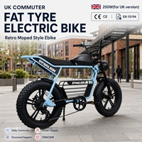 Vélo électrique à pneus larges de style cyclomoteur rétro pour trajets quotidiens au Royaume-Uni, avec support de documents pour la version de marché destiné aux concessionnaires et fournisseurs OEM