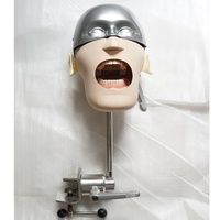 Modelo de Entrenamiento Dental, Maniquí, Simulador de Cabeza, Modelo de Simulación Dental, Cabeza de Maniquí para Educación Dental