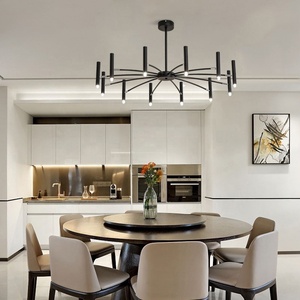 <span class=keywords><strong>Artiste</strong></span> nordique de haute qualité rond réglable ligne pendante lumière créative salon lustre - Product Image 4