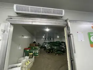 walking freezer quick frozen cold room fish freezer room