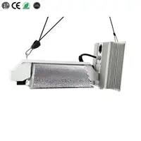Professional ETL Dimmable 97% Reflectivity HPS 1000W Hydroponic Green House Grow Light System