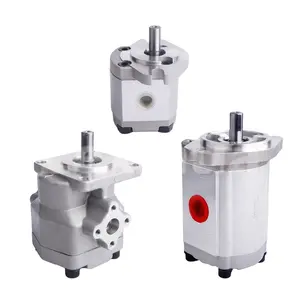 China Factory Supplier HGP Series HGP-1A-F3R Hydraulic Mini Gear Pump HGP1A HGP2A HGP3A