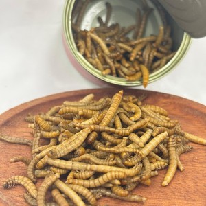 Vers de farine préservés durables, appâts naturels parfumés, leurres de pêche prêts à l'emploi, appâts frais pour les pêcheurs professionnels et les magasins. - Product Image 3