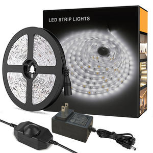 Tira de luces LED con regulación gradual, 12v autoadhesiva, 24v para interiores, tira de luz flexible SMD de bajo voltaje para techo, venta al por mayor - Product Image 1