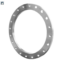 Bride de raccordement DIN2502 DIN2503 PN16 PN25 PN40 en acier au carbone A105 S235JR Tailles DN150 DN200 DN250 DN300 Plaques de bride PL