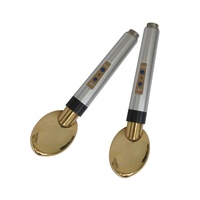 Appareil de massage galvanique portable pour salon, masseur vibrant pour le visage, appareil raffermissant pour la peau, appareils de soin du visage