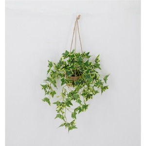 Lierre artificiel en pot, fausses feuilles de lierre, plantes suspendues vertes pour <span class=keywords><strong>la</strong></span> décoration de <span class=keywords><strong>la</strong></span> <span class=keywords><strong>maison</strong></span>, du plafond, de <span class=keywords><strong>la</strong></span> chambre et du salon - Product Image 6