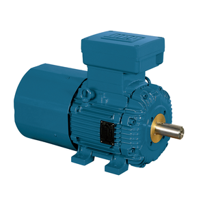 Moteur asynchrone triphasé WEG W21 à démarrage direct en ligne, haute efficacité, 50/60 Hz, 0,55 kW ~ 355 W, montage B3T, AC W21 Weg W21 - Product Image 5
