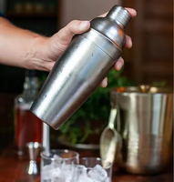 Ensemble de shaker à cocktails Camol personnalisé 5 pièces, shaker de 750 ml avec doseurs de 15/30 ml, pailles verseuses, kit de barman en acier inoxydable