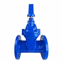 Katup Gerbang Baja Berflens yang Dioperasikan dengan Handwheel, Bersekat EPDM, DN150~DN300(6"~12"), untuk Air Minum, Pengolahan Air, Irigasi