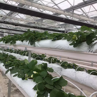Système de plateau de substrat modulaire pour l'agriculture hydroponique | Aération et drainage radiculaire améliorés