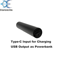 Lampe de poche UV S18 personnalisable avec logo, haute puissance 5W, 365nm, test de Wood, USB-C, batterie 18650 intégrée