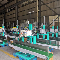 Machine de pesage, de remplissage, de scellage et de couture industrielle semi-automatique pneumatique PLC 25kg/50kg pour sachets en PP, PE, PVC, résine plastique et papier